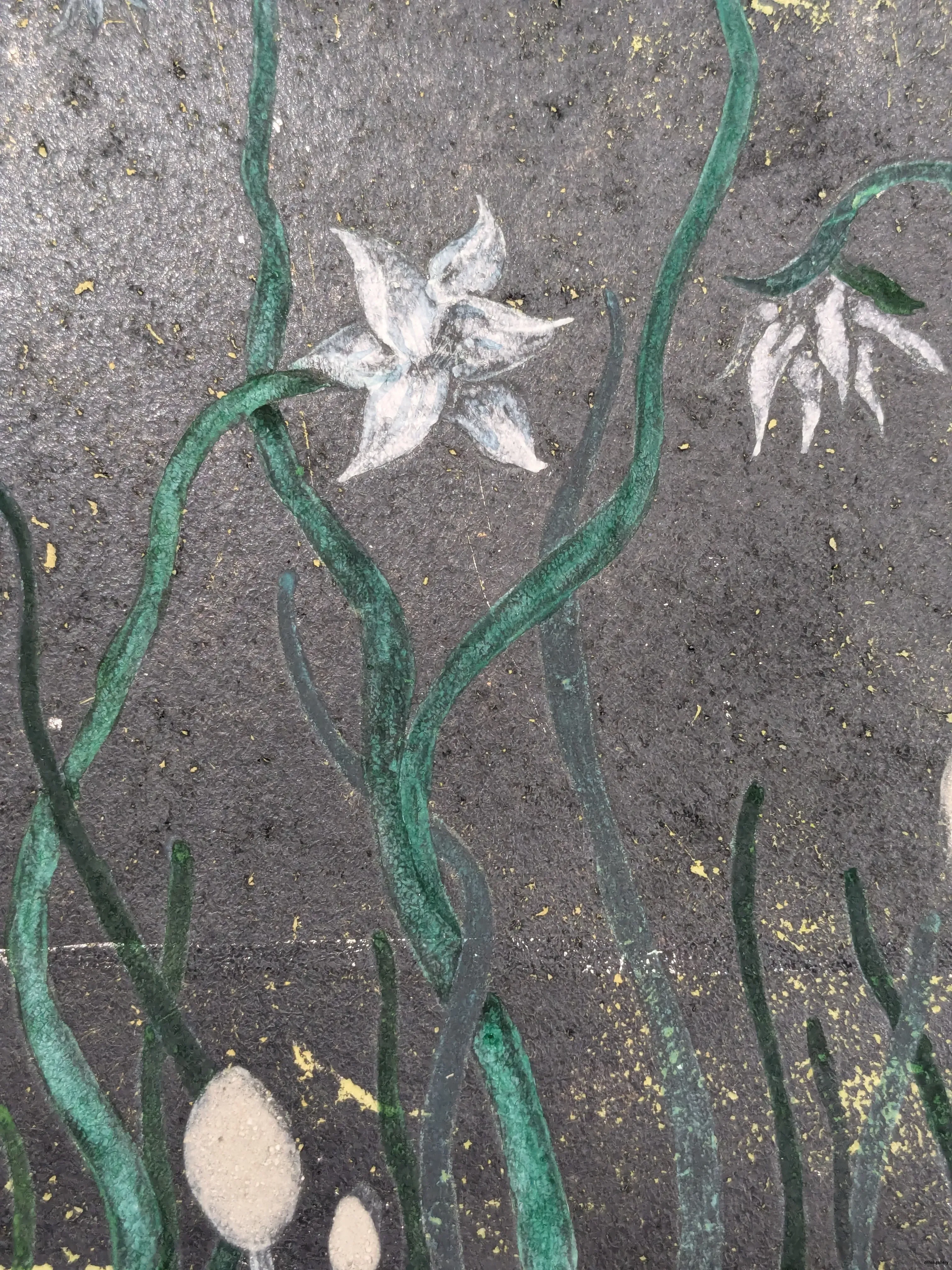 /images/painting/膠彩/夜裡蔥蘭/過程/p1.webp
