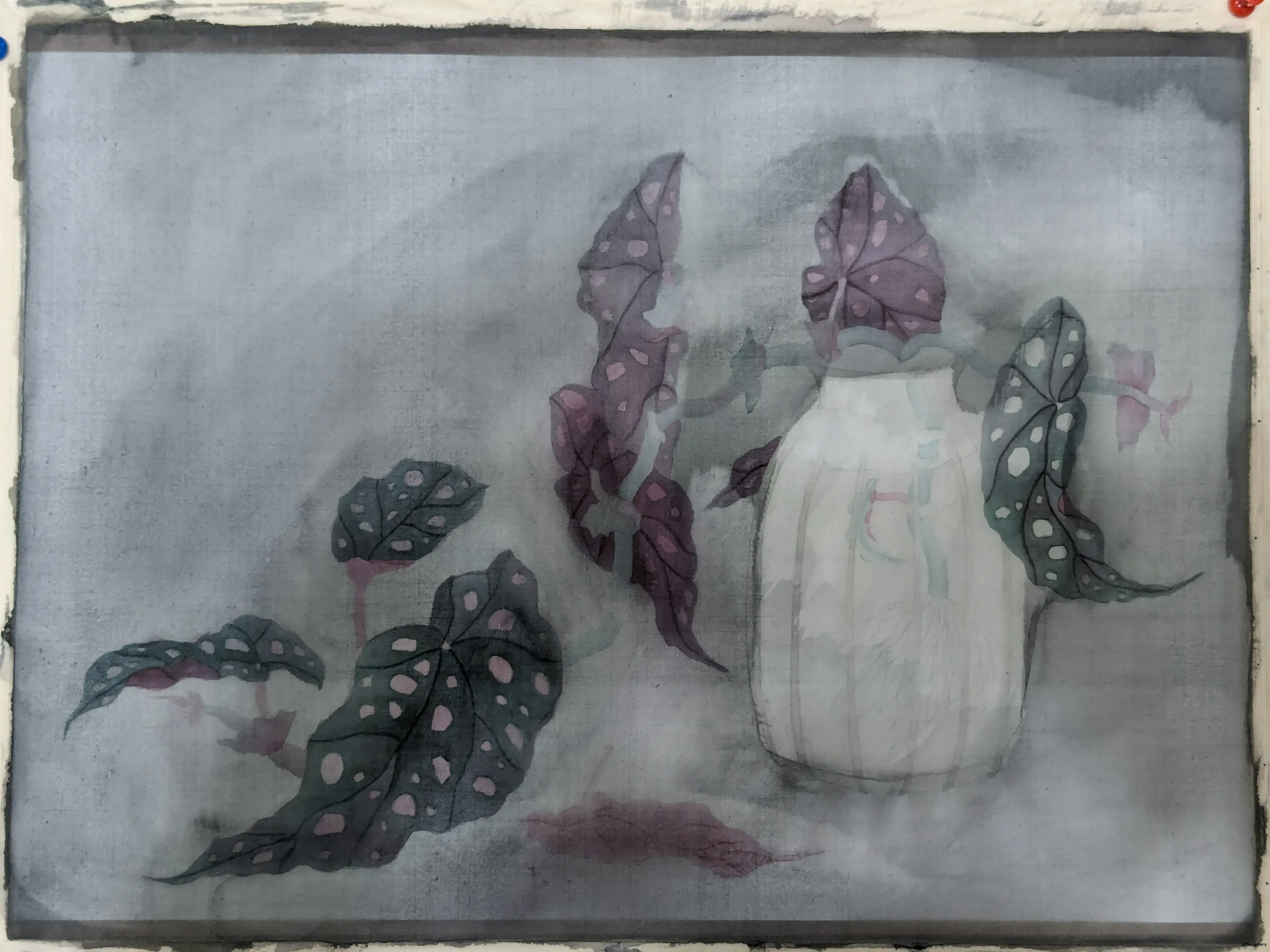 /images/painting/膠彩/星點秋海棠/圖/i1.webp