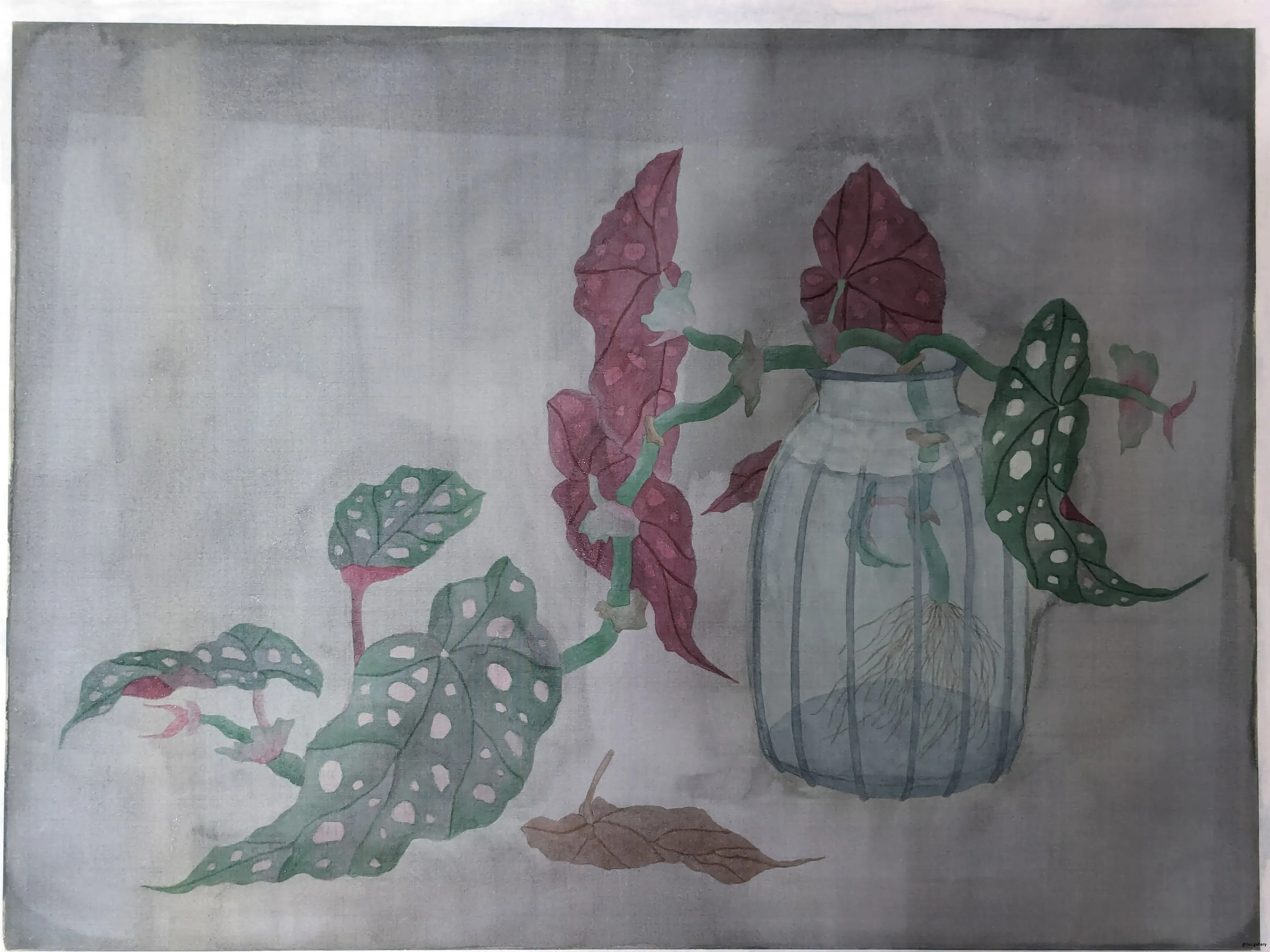 /images/painting/膠彩/星點秋海棠/圖/i2.webp