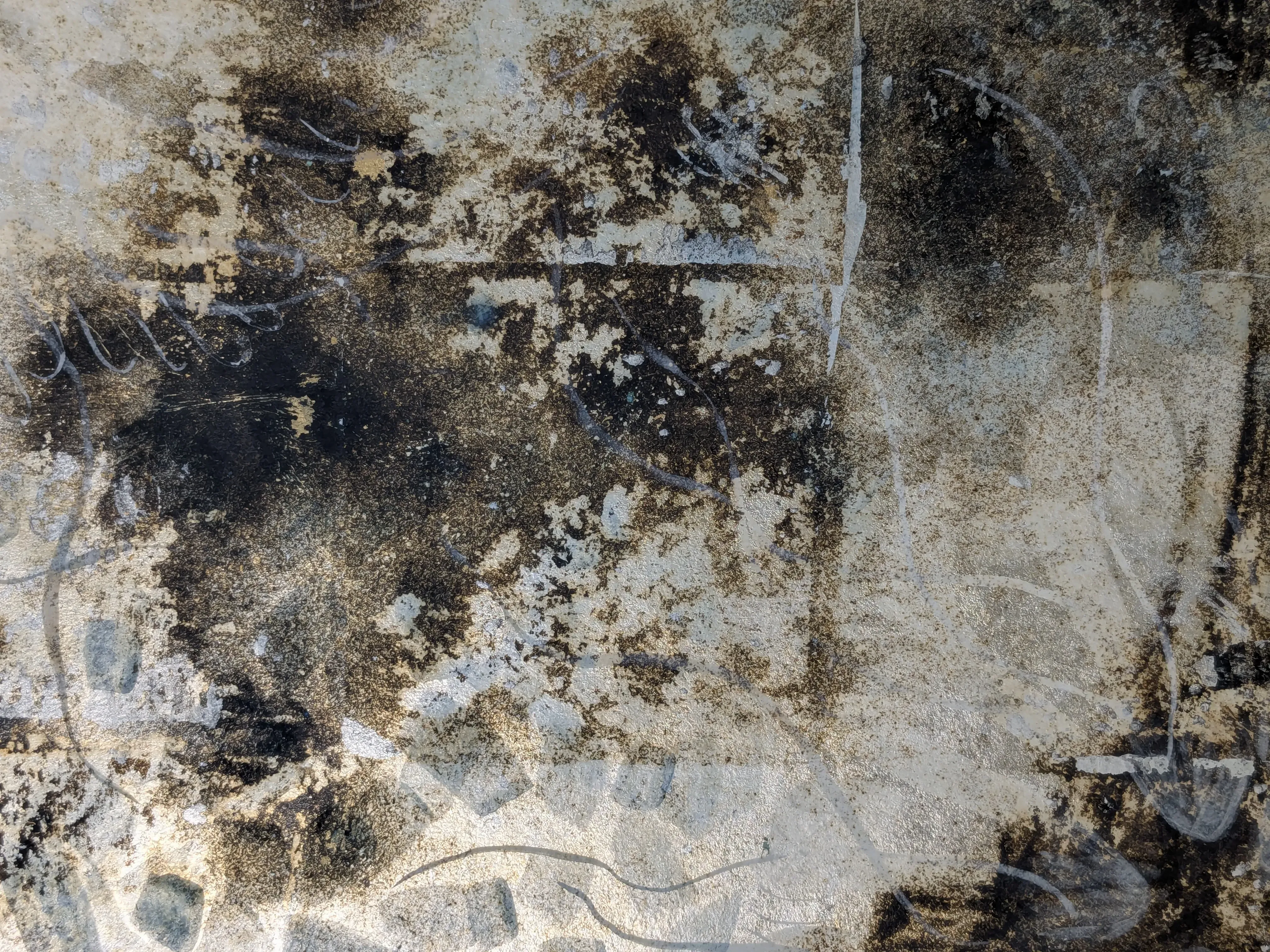 /images/painting/膠彩/水母漂流記/圖/i8.webp