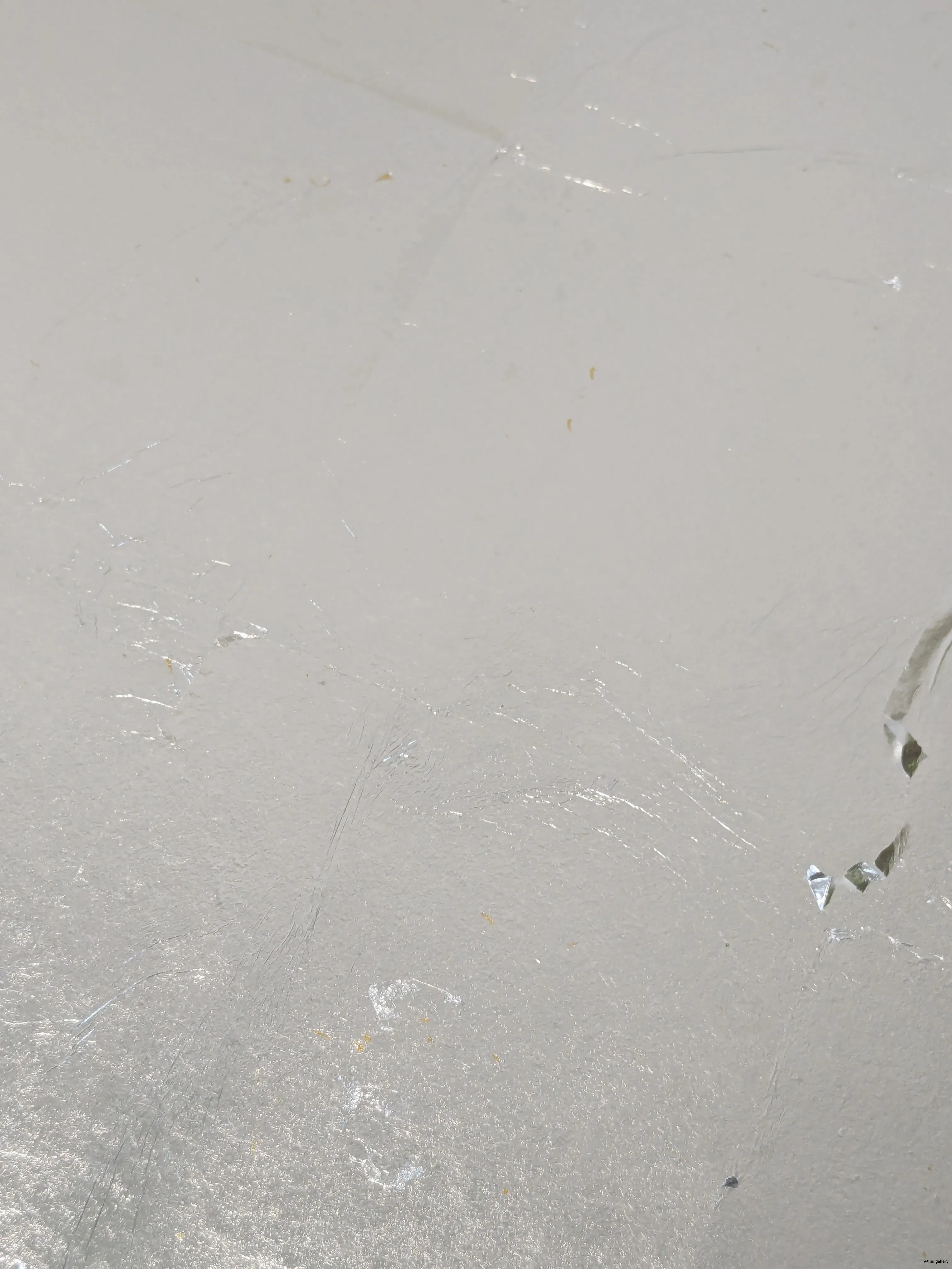 /images/painting/膠彩/水母漂流記/過程/p1.webp
