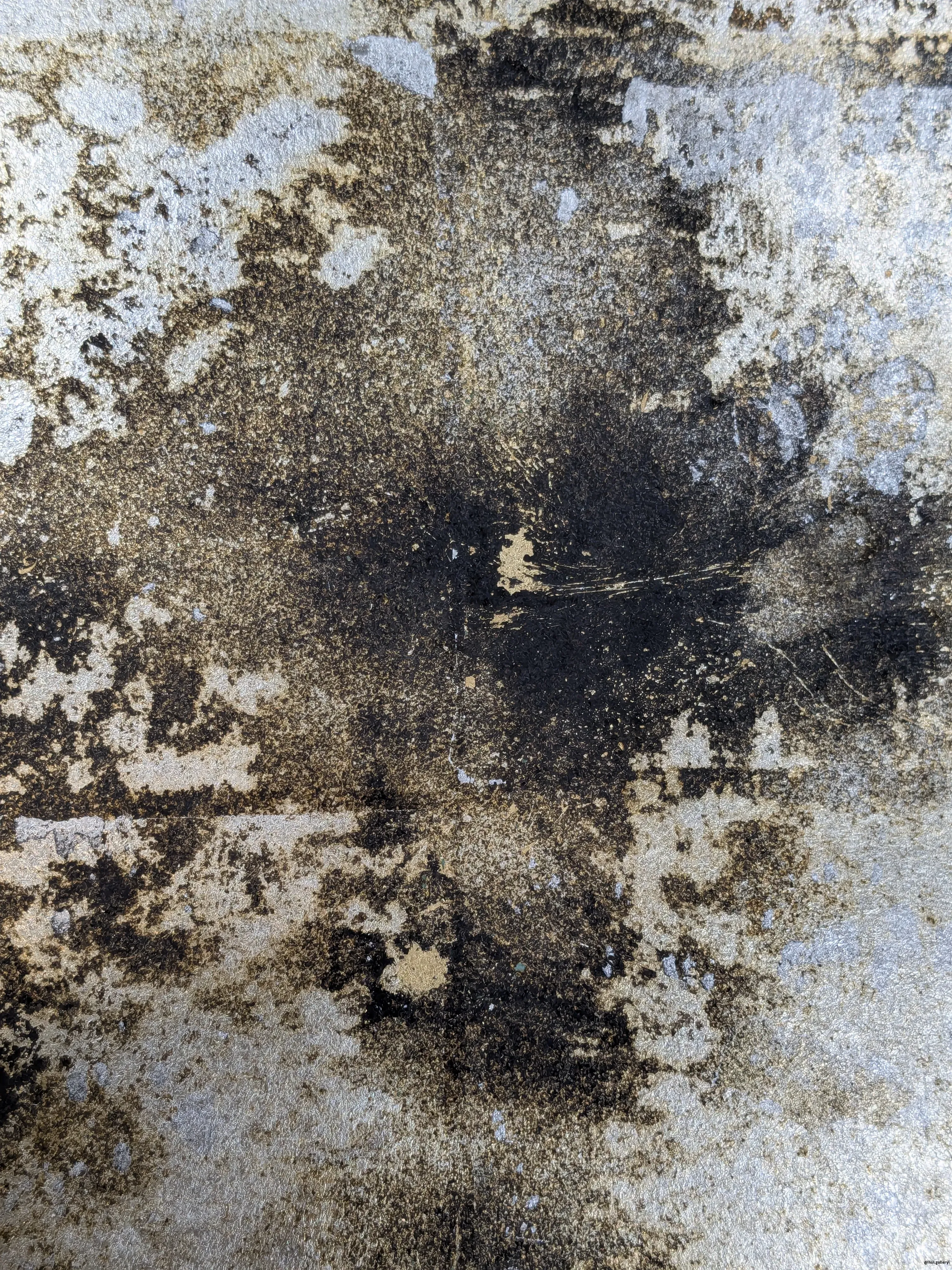 /images/painting/膠彩/水母漂流記/過程/p2.webp