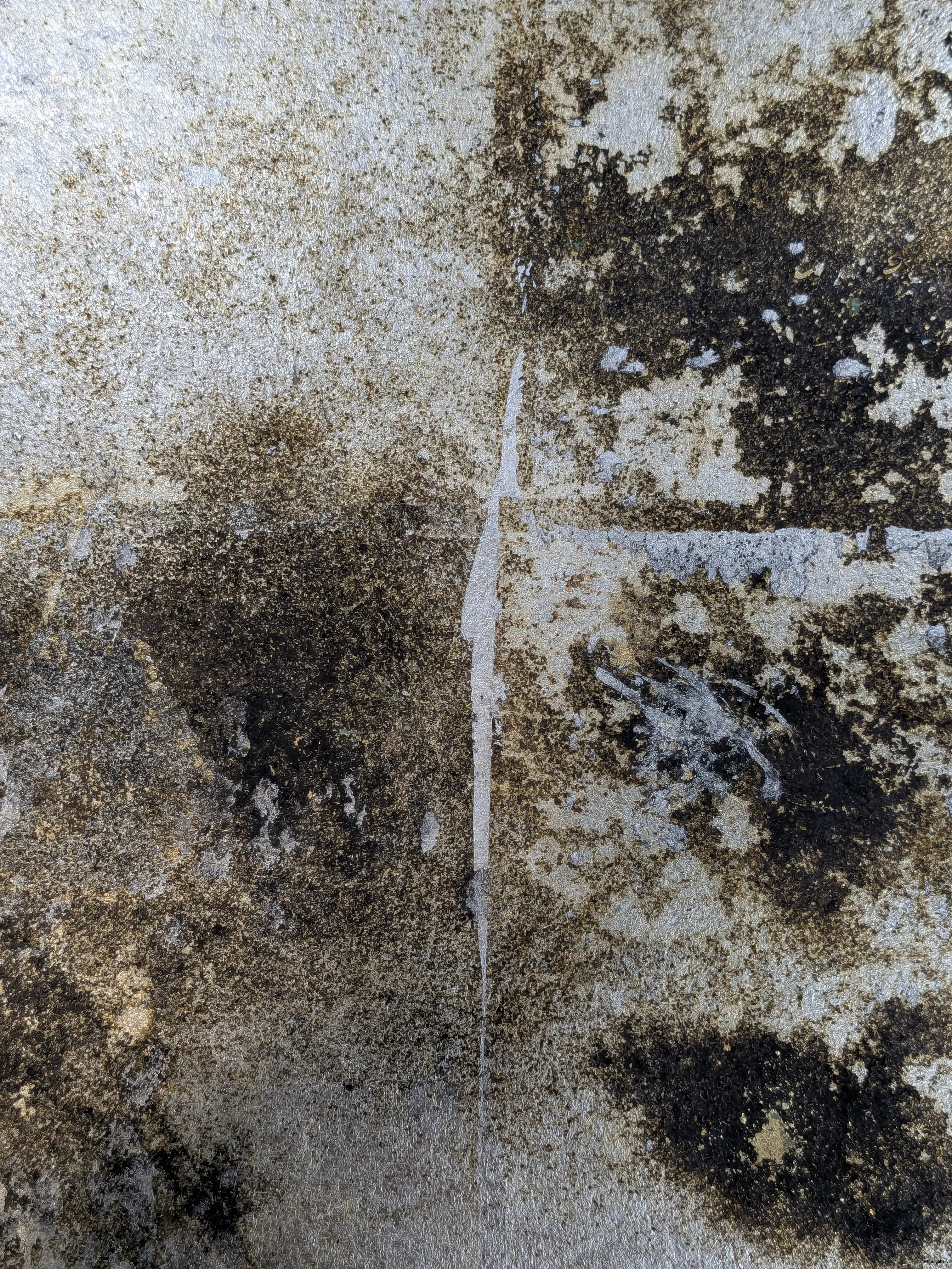 /images/painting/膠彩/水母漂流記/過程/p4.webp