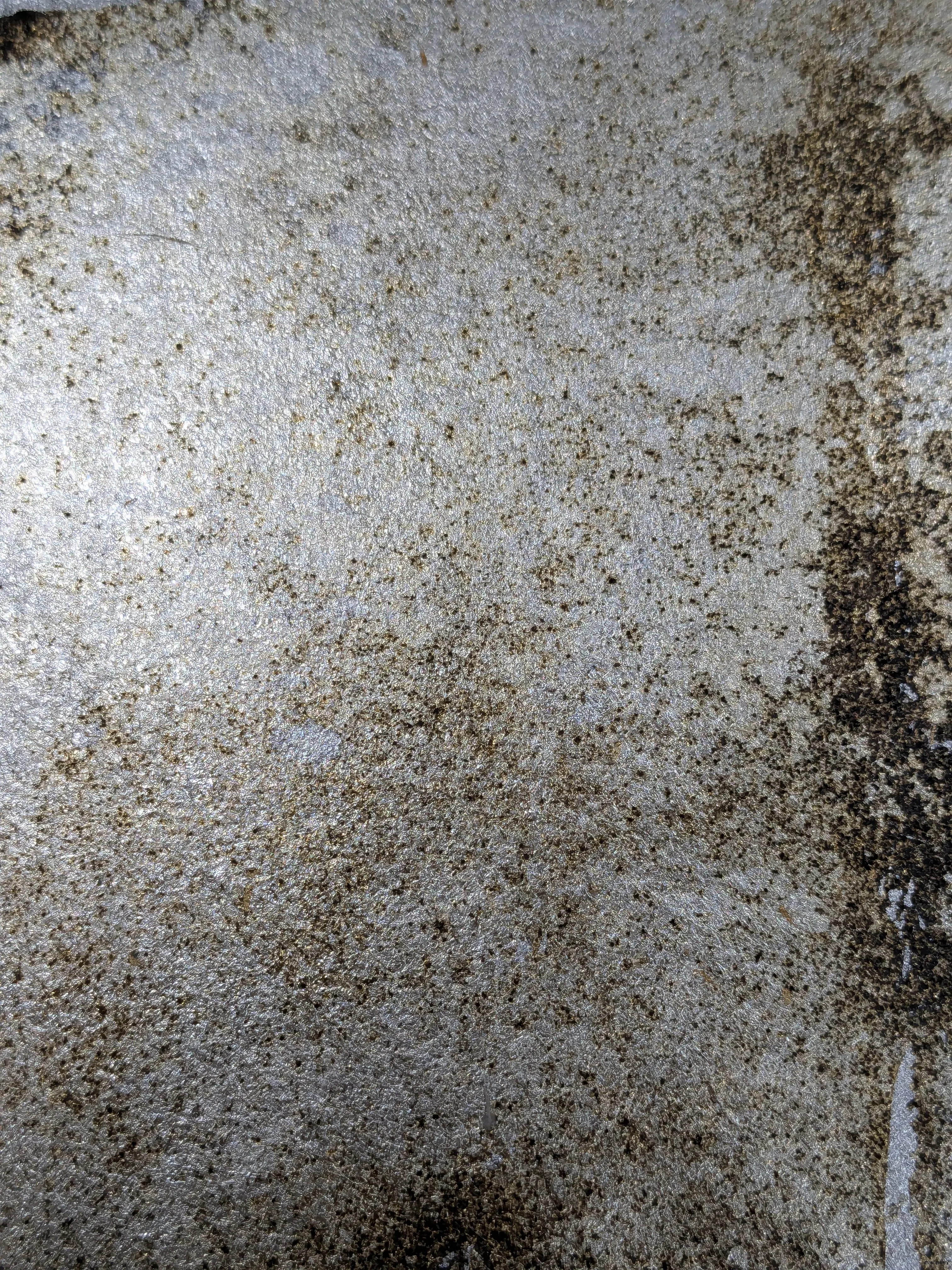 /images/painting/膠彩/水母漂流記/過程/p5.webp