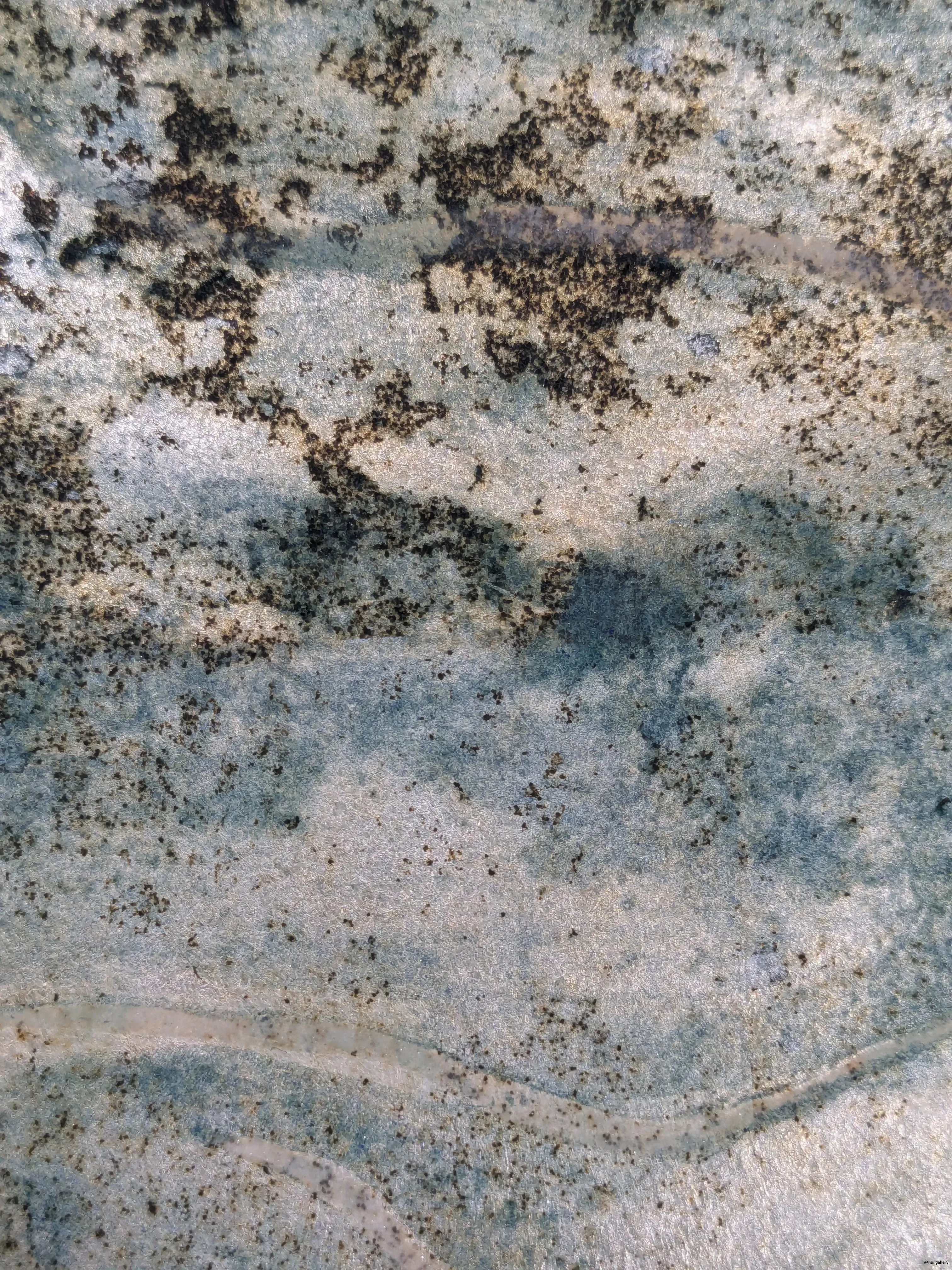 /images/painting/膠彩/水母漂流記/過程/p8.webp