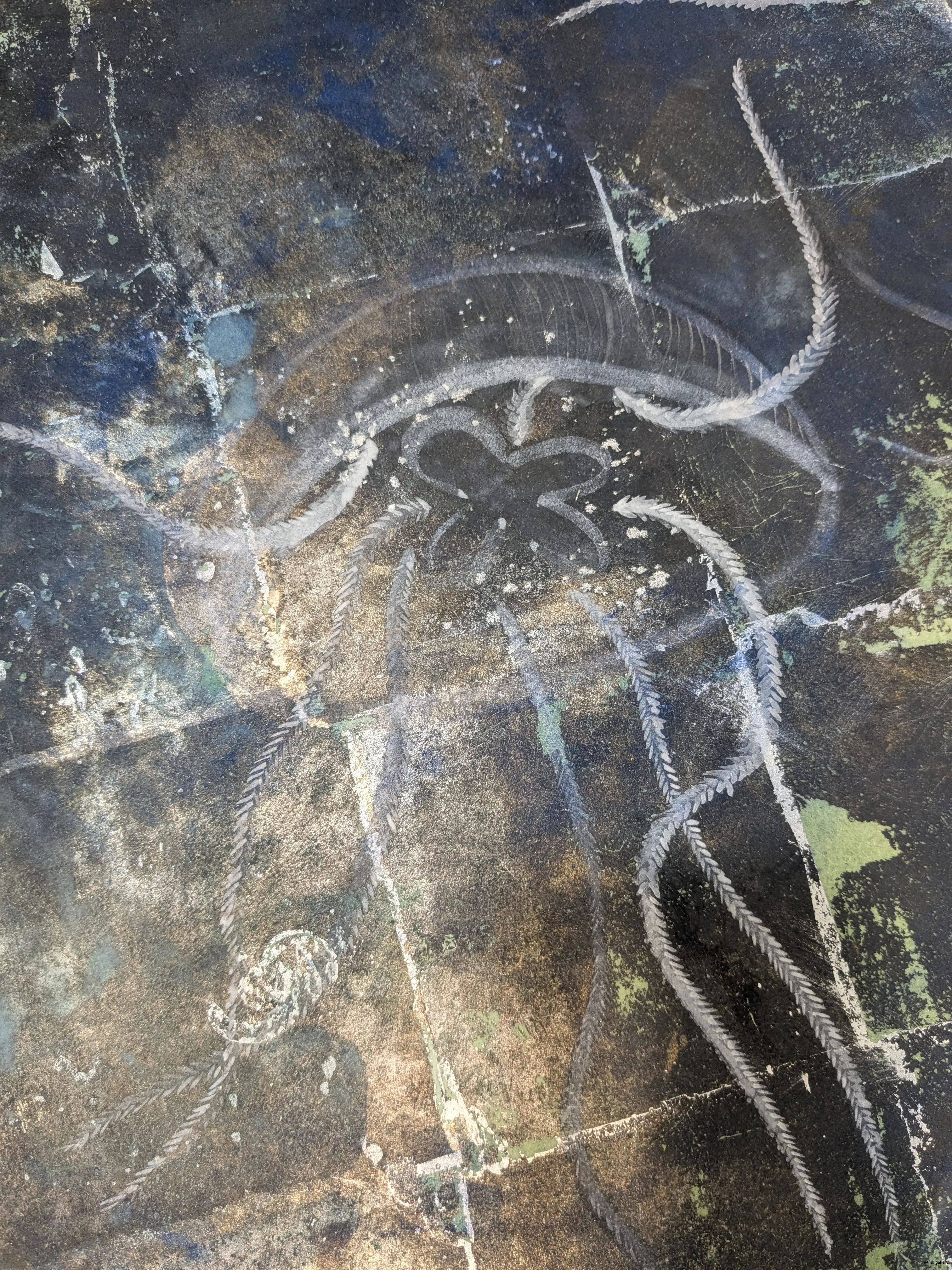 /images/painting/膠彩/深海/過程/p11.webp