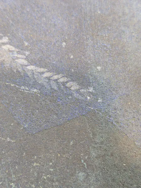 膠彩 懶懶而無心