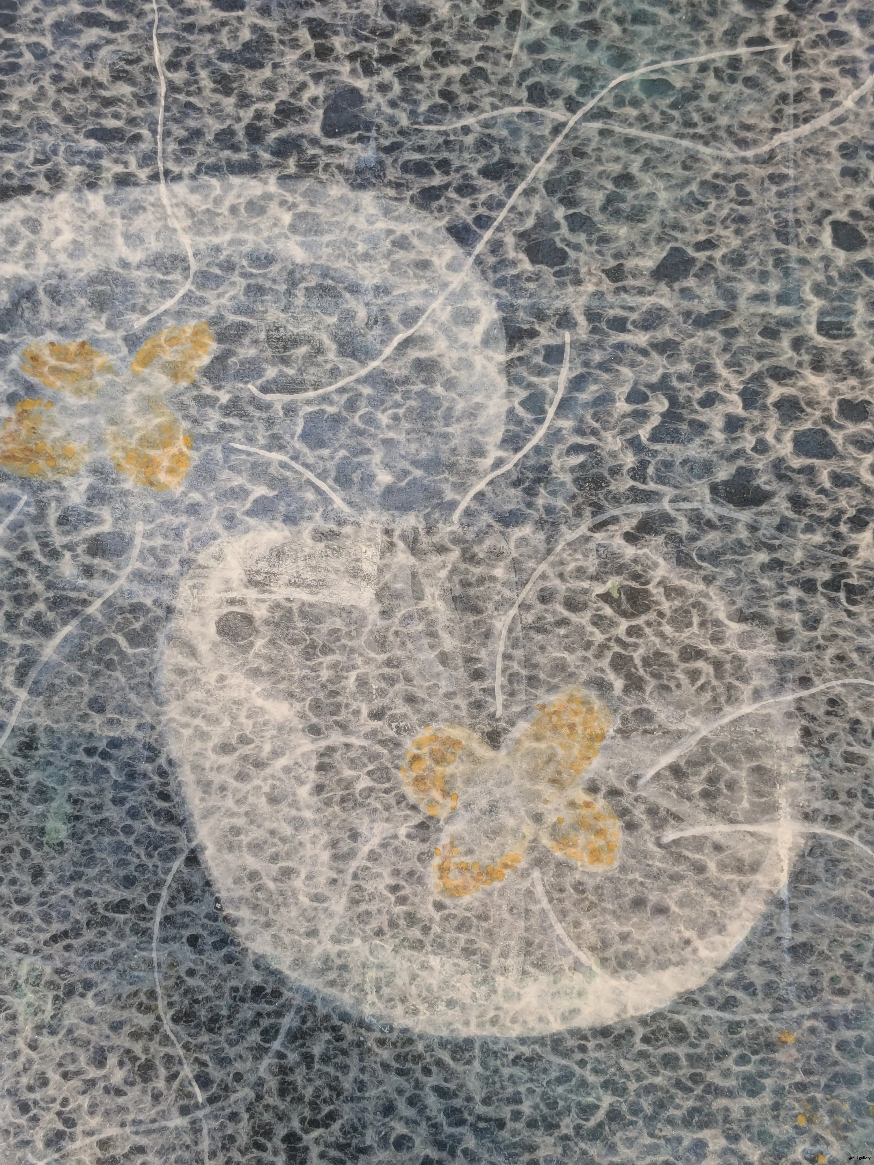 /images/painting/膠彩/深海/過程/p20.webp