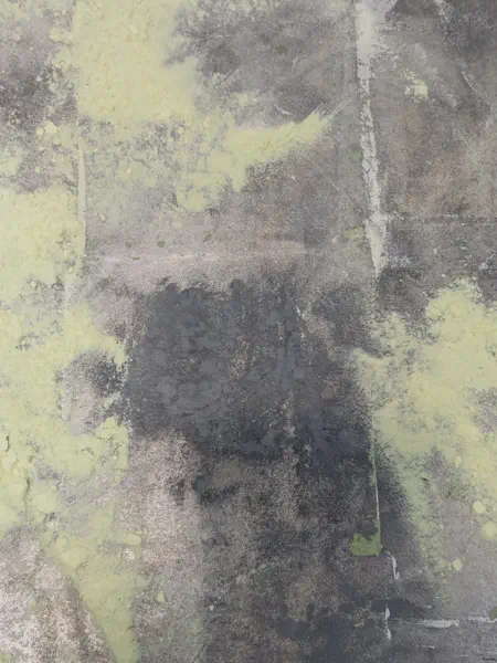 膠彩 懶懶而無心